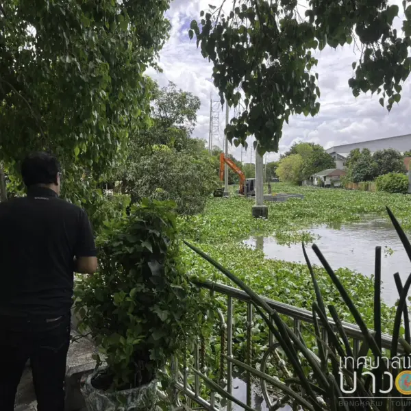 S__17113098_0