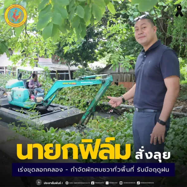 ปก